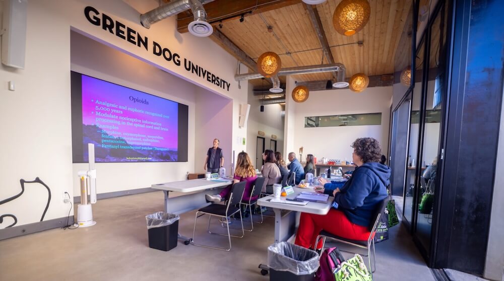 Green dog university in session
