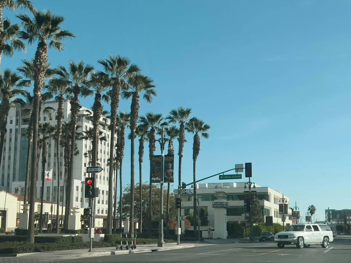Palm trees lining Ventura Boulevard