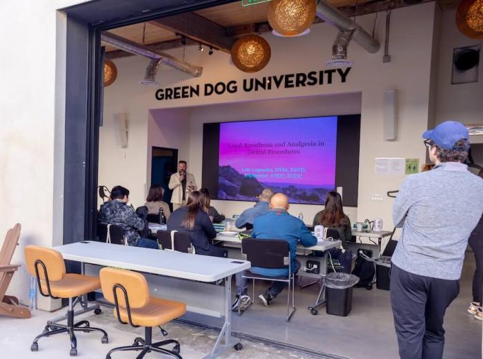 ABC’s of the CBC: What, When and Why