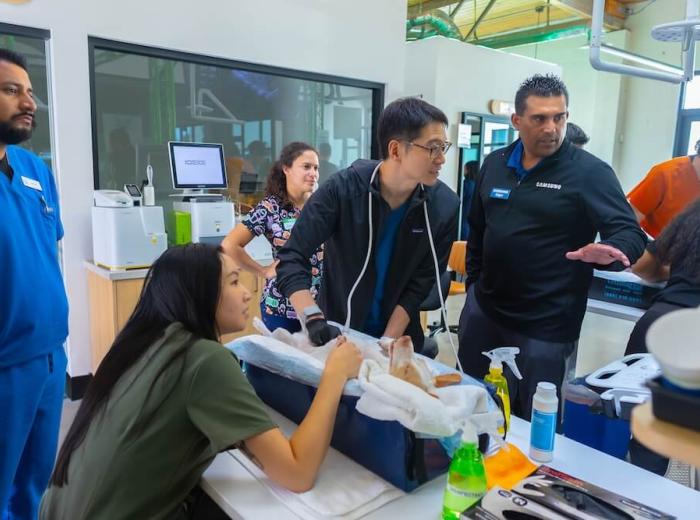 Don't Fear the Ear: How Cytology Makes Your Otitis Problems Easier to Solve